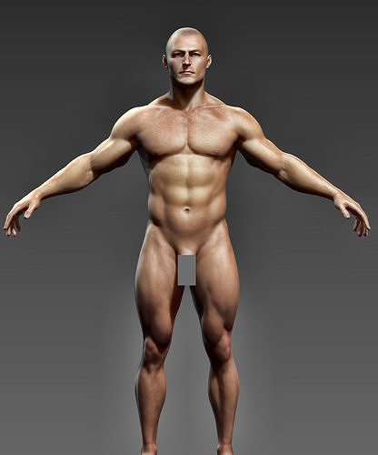 Man Body- Complete Zbrush  3D model