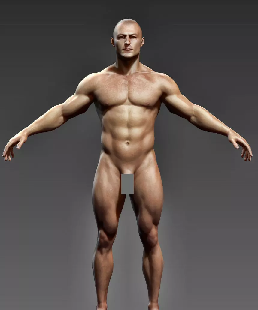 Man Body- Complete Zbrush  3D model_0