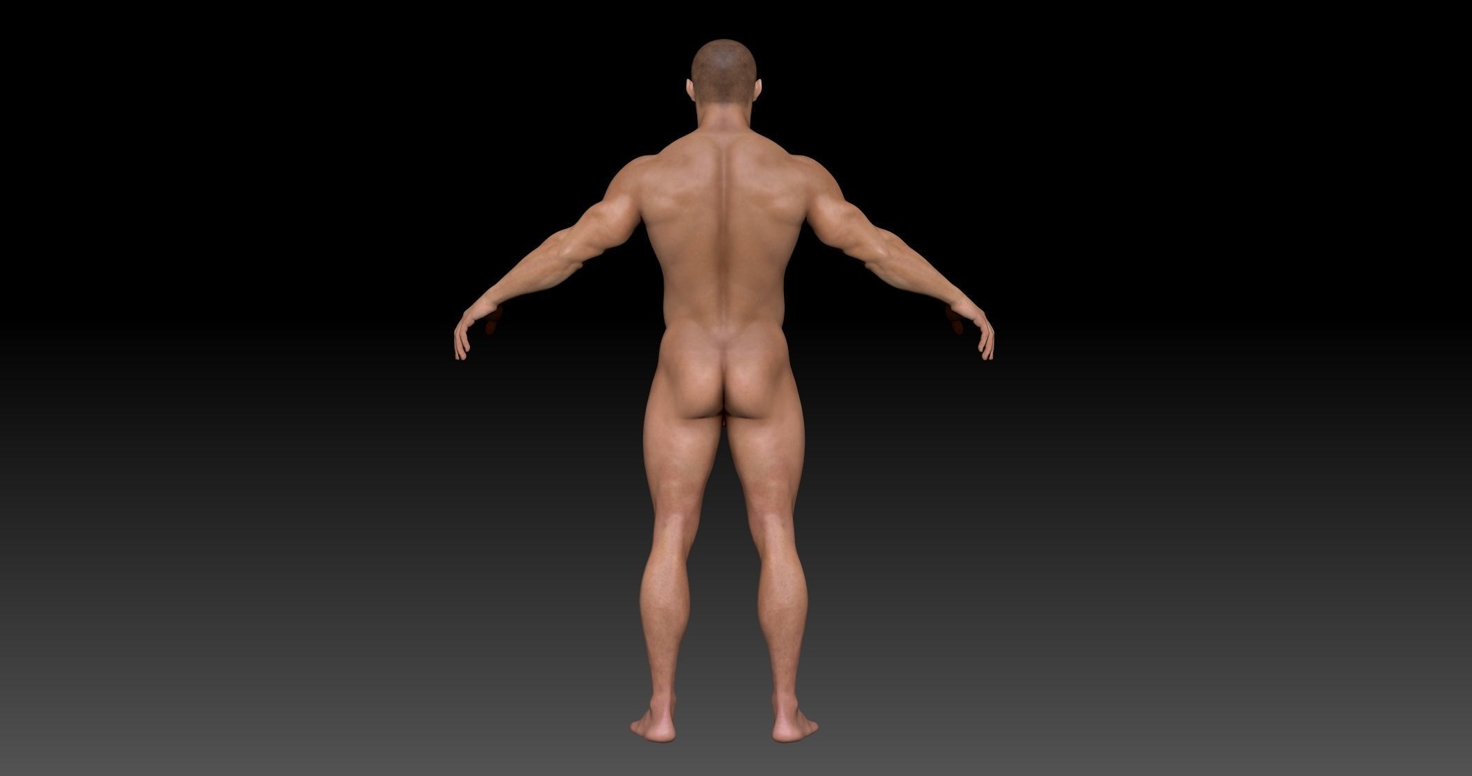 Man Body- Complete Zbrush  3D model_3