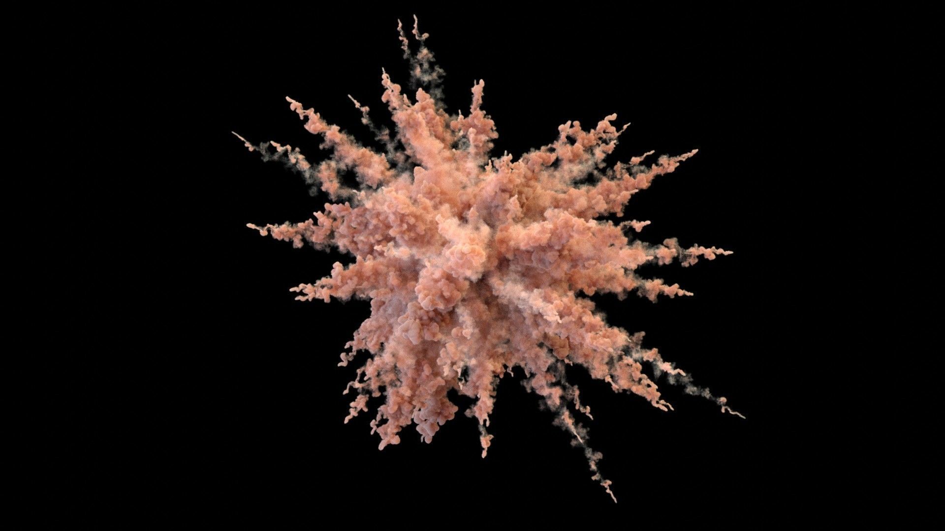 Powder Explosion VDB 3D model_3