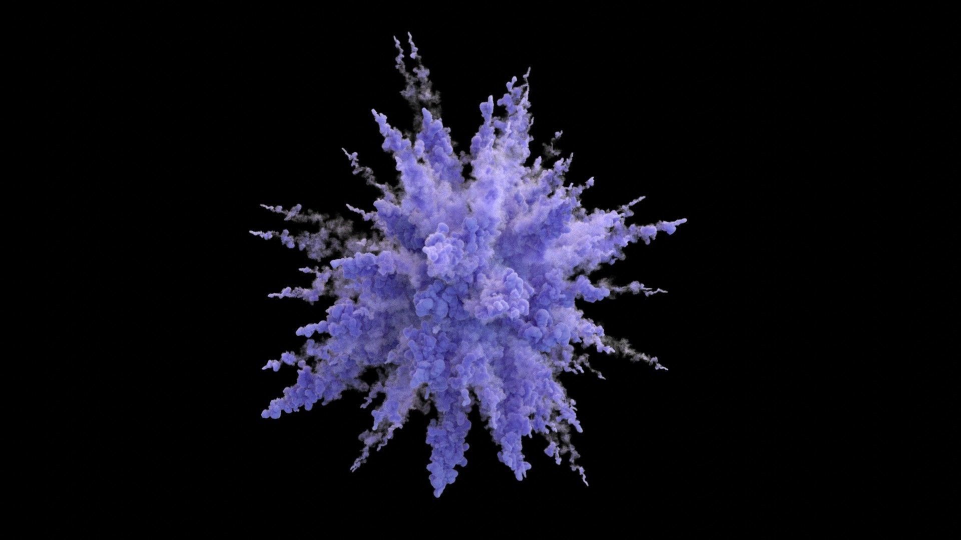 Powder Explosion VDB 3D model_2