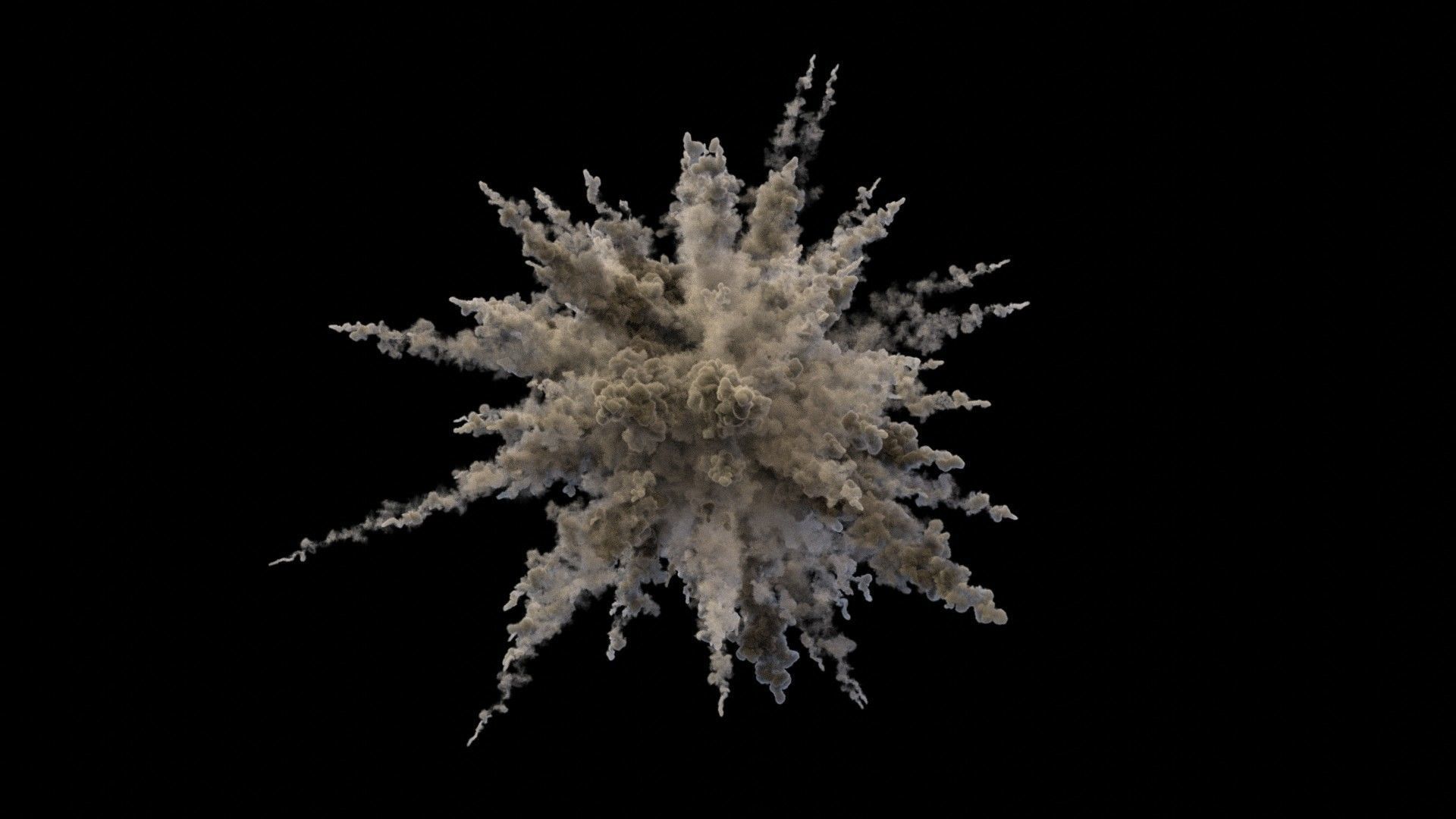 Powder Explosion VDB 3D model_5