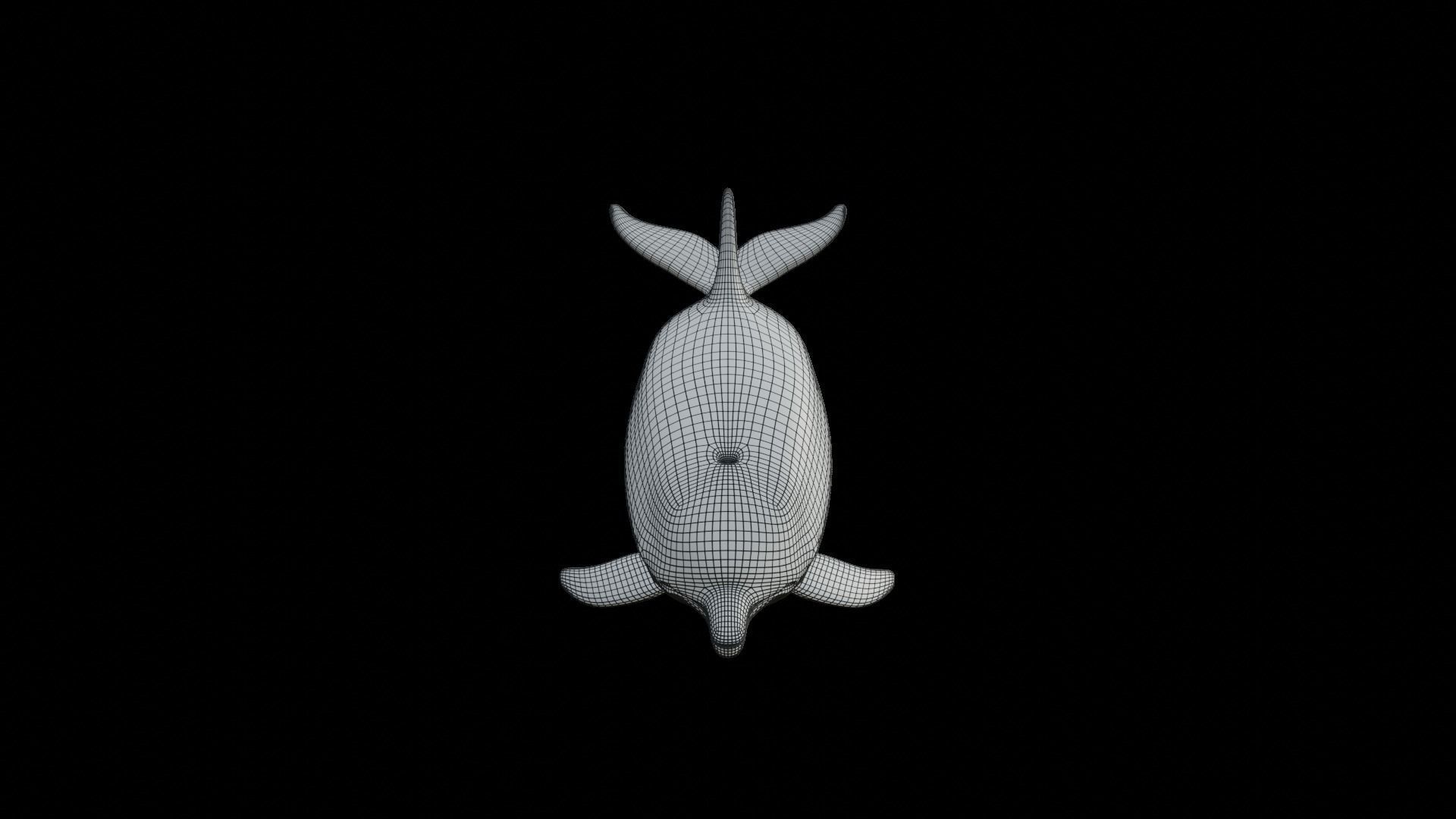 dolphin long-beaked 3D model_4