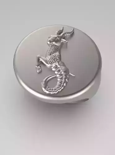 Zodiac ring Capricorn 003