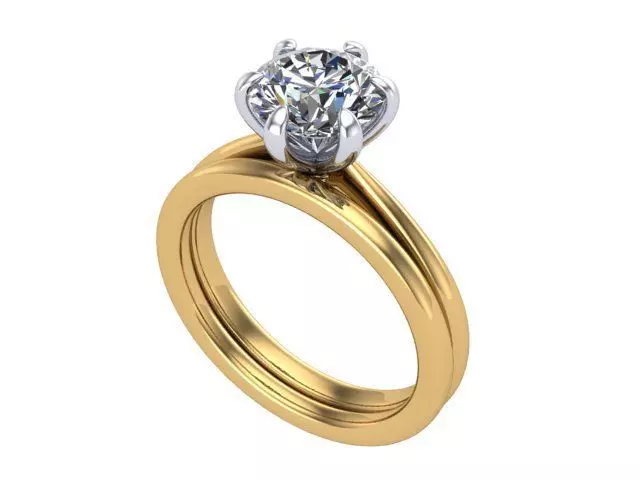 Ring no 12581984195561321651 3D print model_0