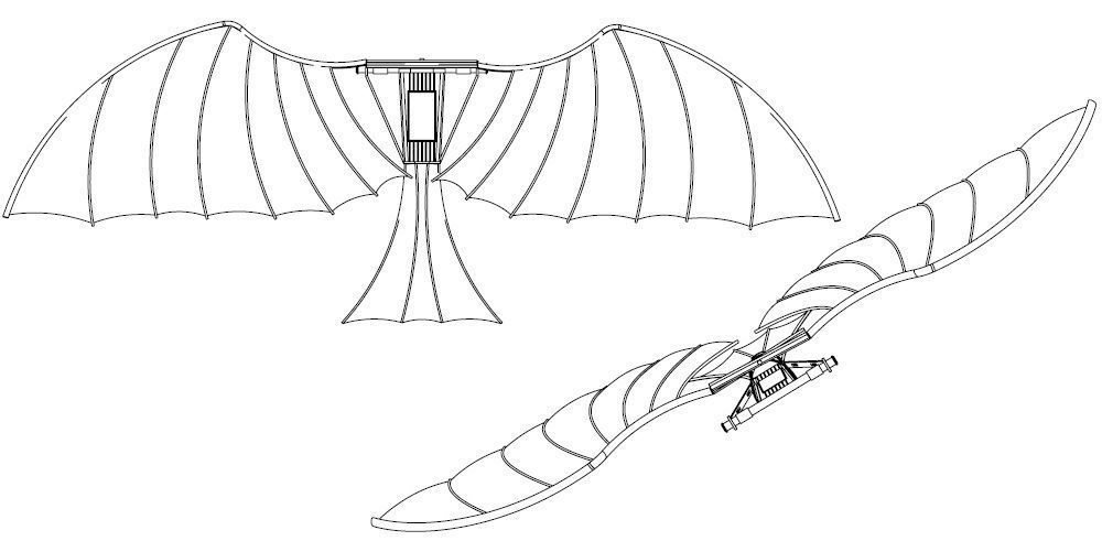 Leonardo Da Vinci Ornithopter 3D print model_3