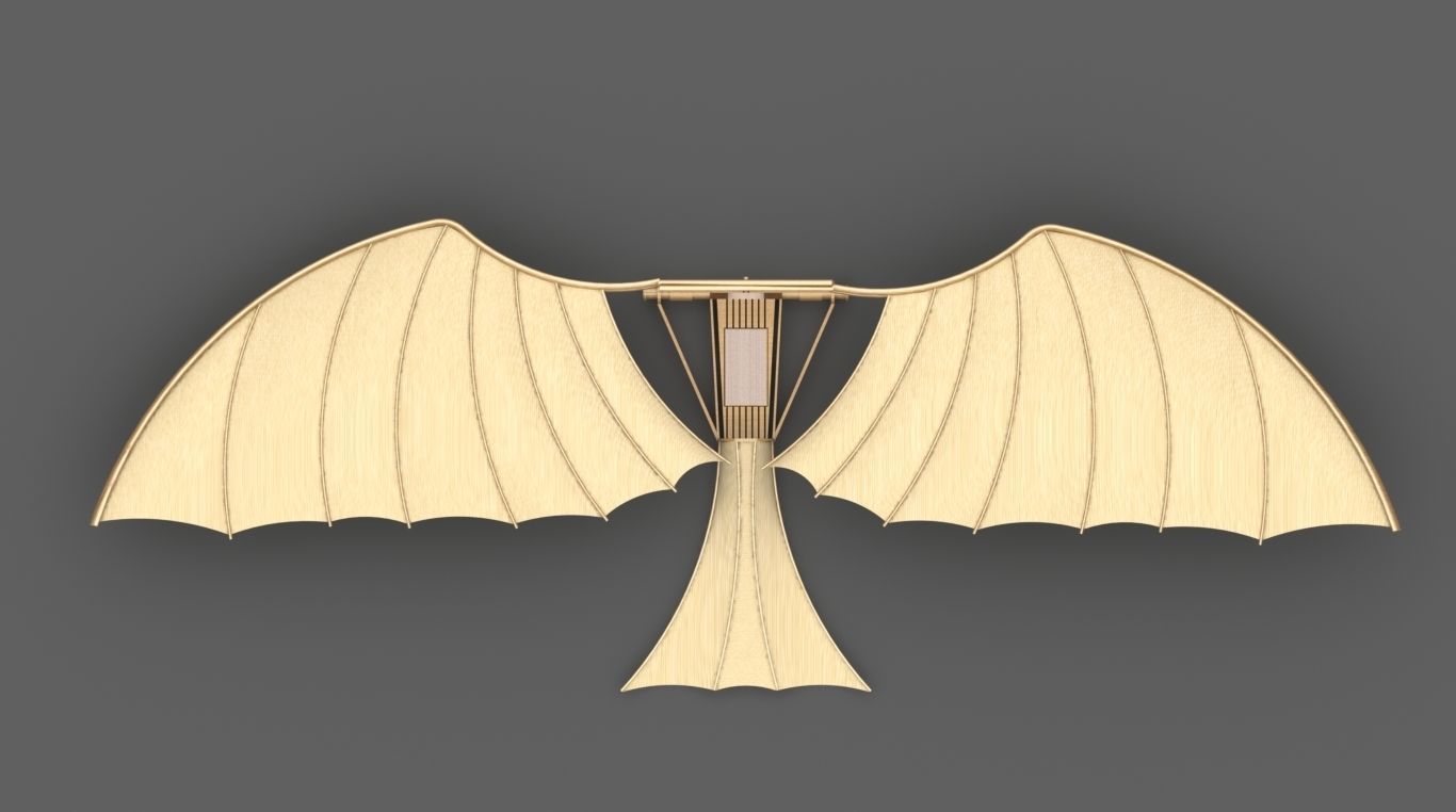 Leonardo Da Vinci Ornithopter 3D print model_2