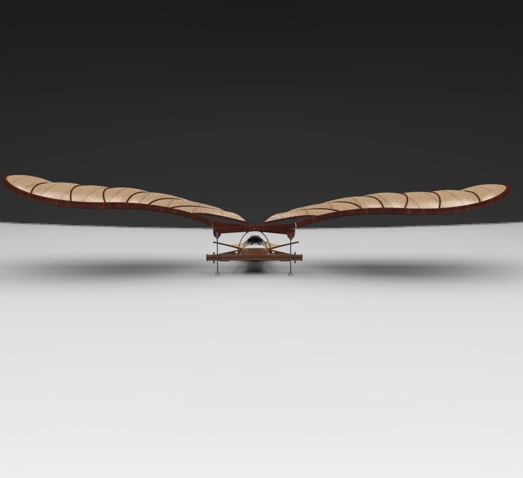 Leonardo Da Vinci Ornithopter 3D print model_1