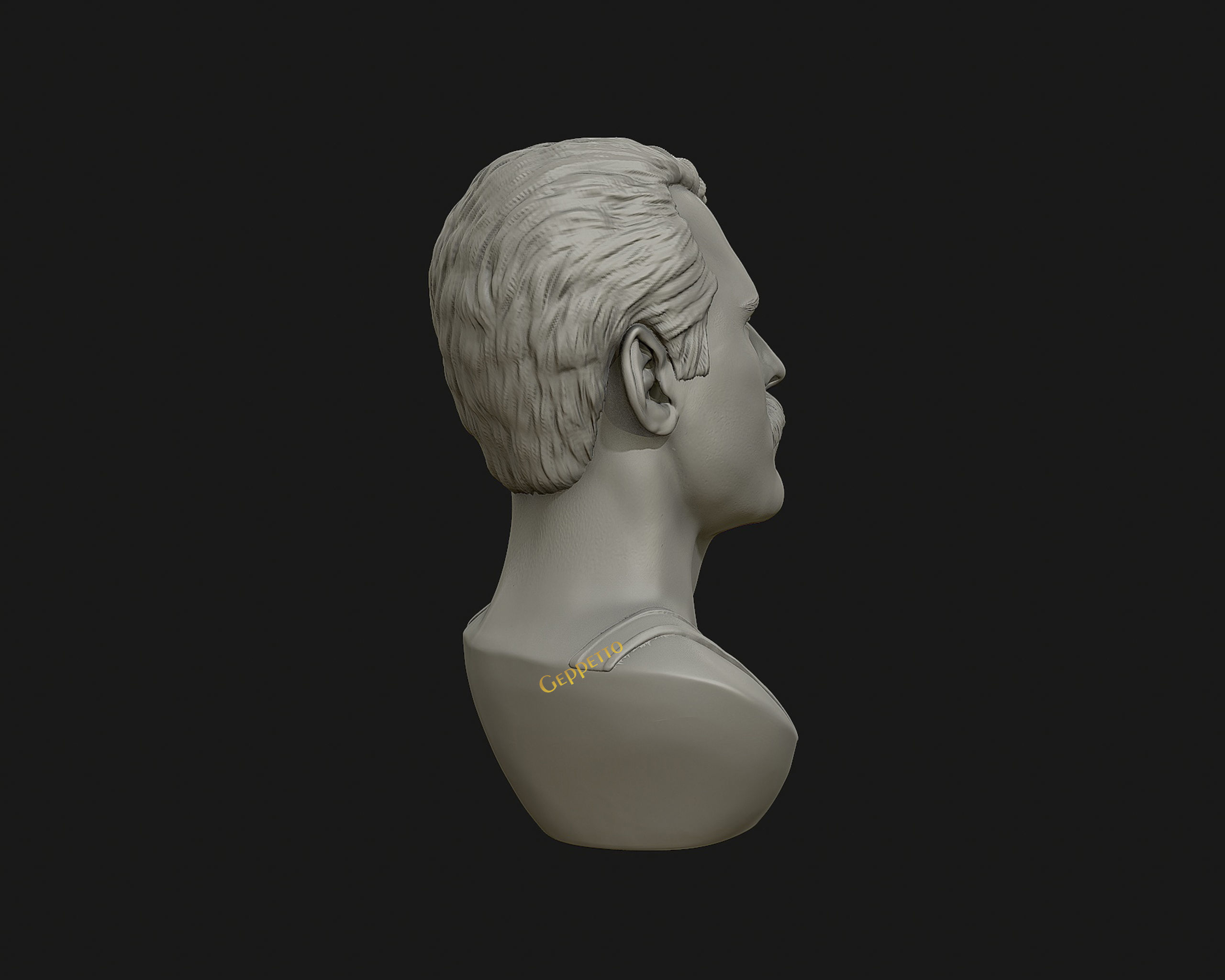 Freddie Mercury 3D printable portrait 3D print model_12