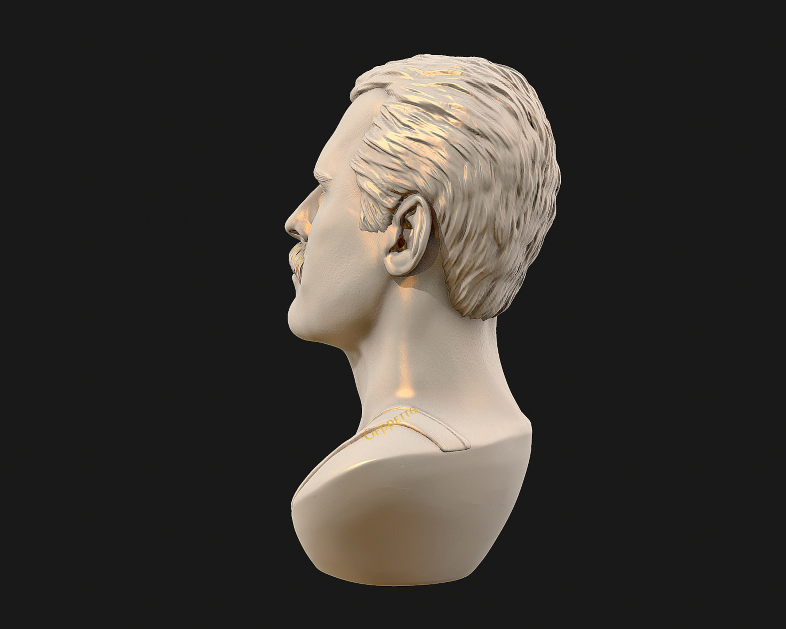 Freddie Mercury 3D printable portrait 3D print model_24