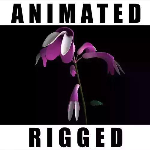 Astragalus Beypazaricus