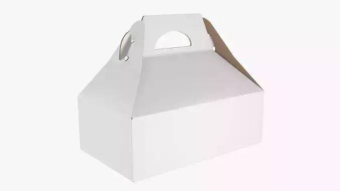 Cake carrier corrugated cardboard box