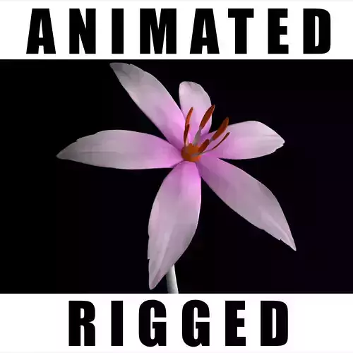 Colchicum Autumnale 3D model