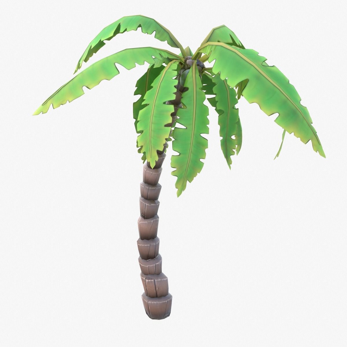 Cartoon Palm Tree Low-poly 3D model_1