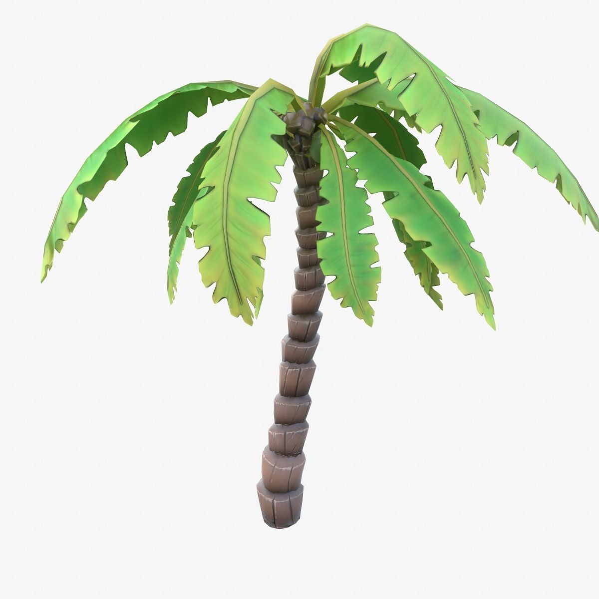 Cartoon Palm Tree Low-poly 3D model_2