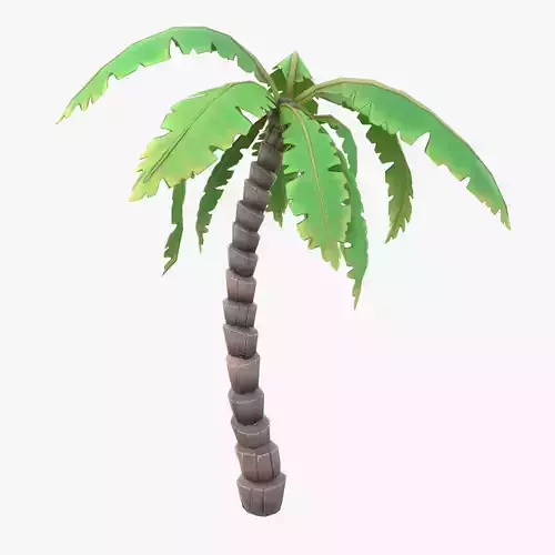 Cartoon Palm Tree