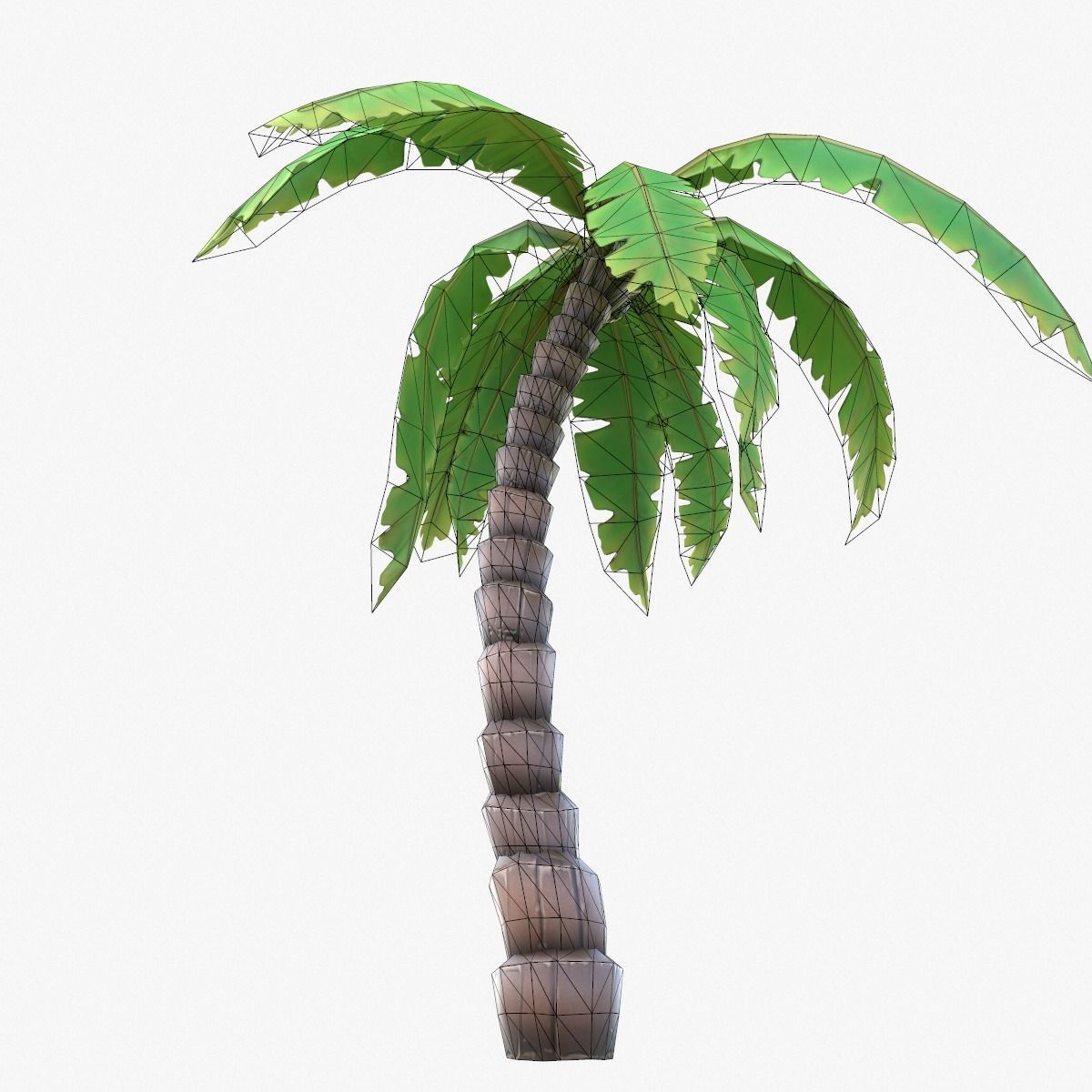 Cartoon Palm Tree Low-poly 3D model_6