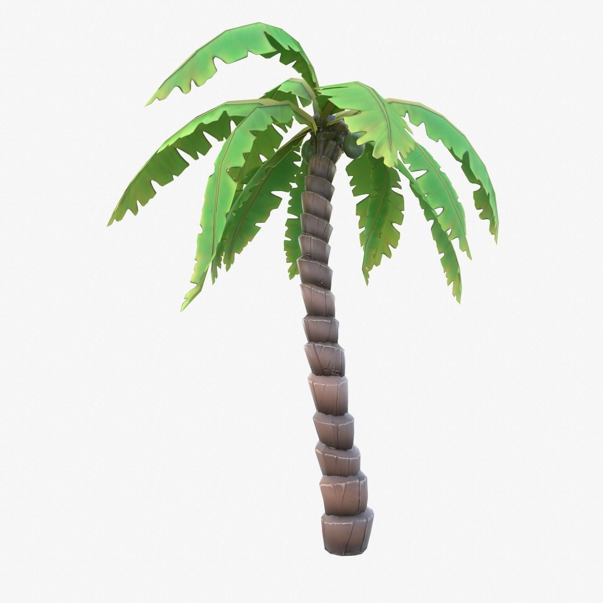Cartoon Palm Tree Low-poly 3D model_4
