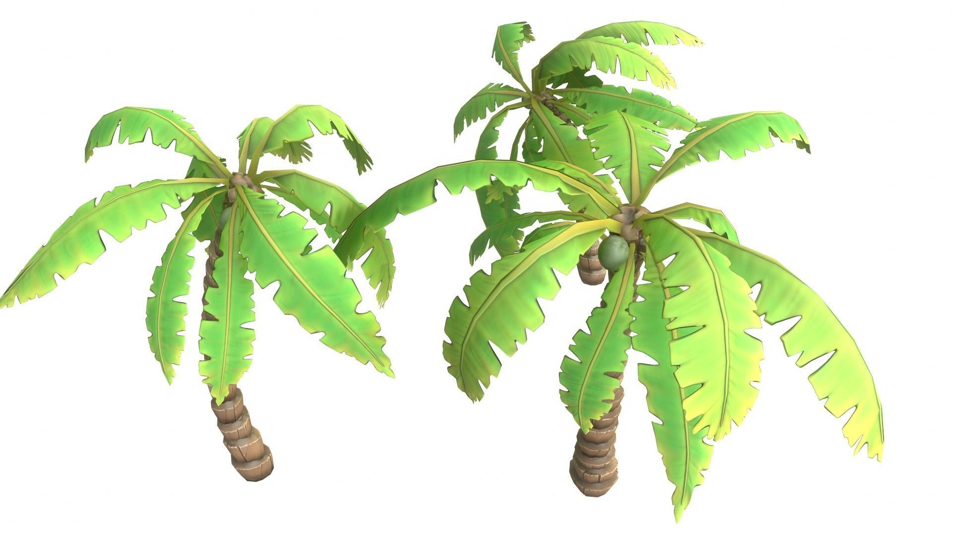 Cartoon Palm Tree Low-poly 3D model_8