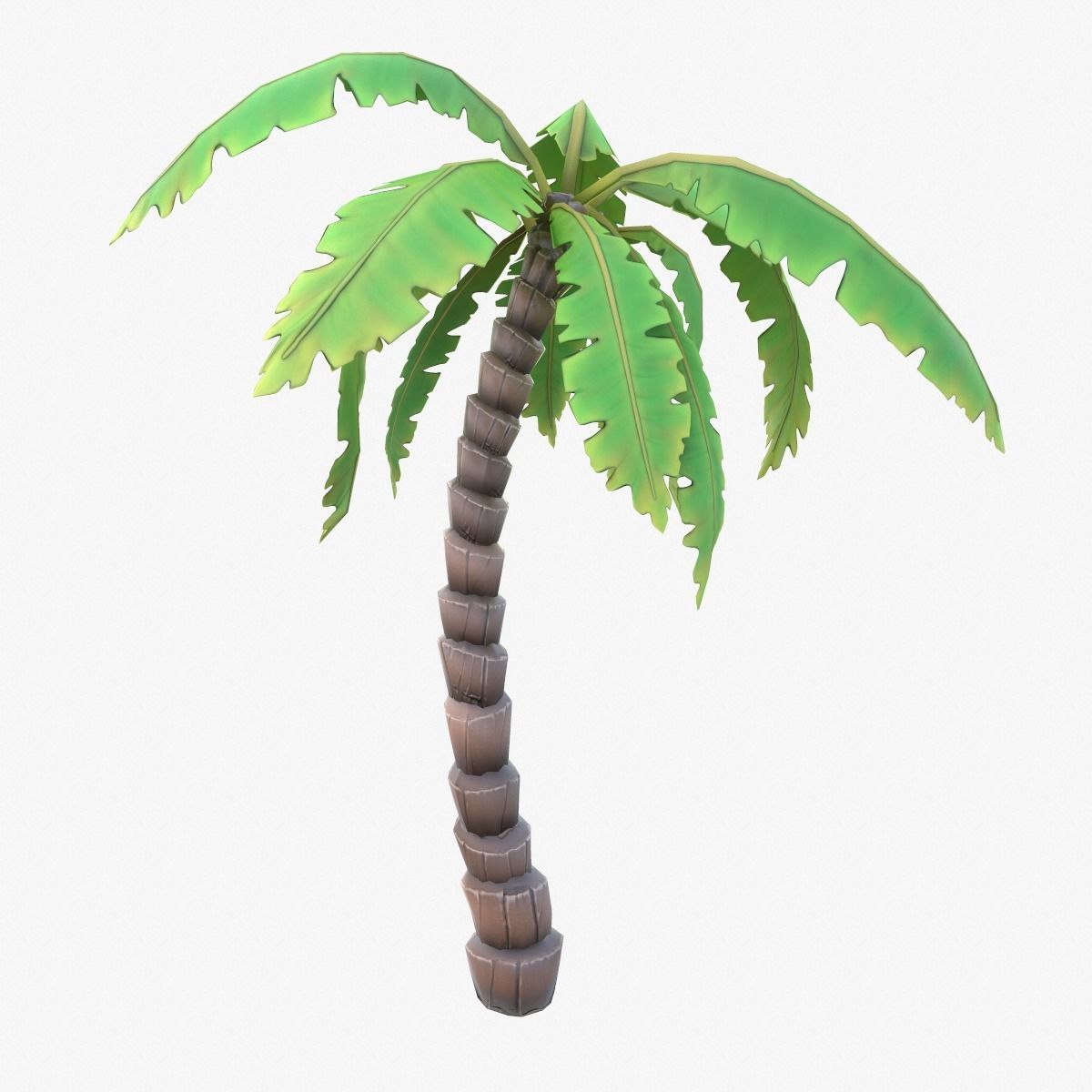 Cartoon Palm Tree Low-poly 3D model_3
