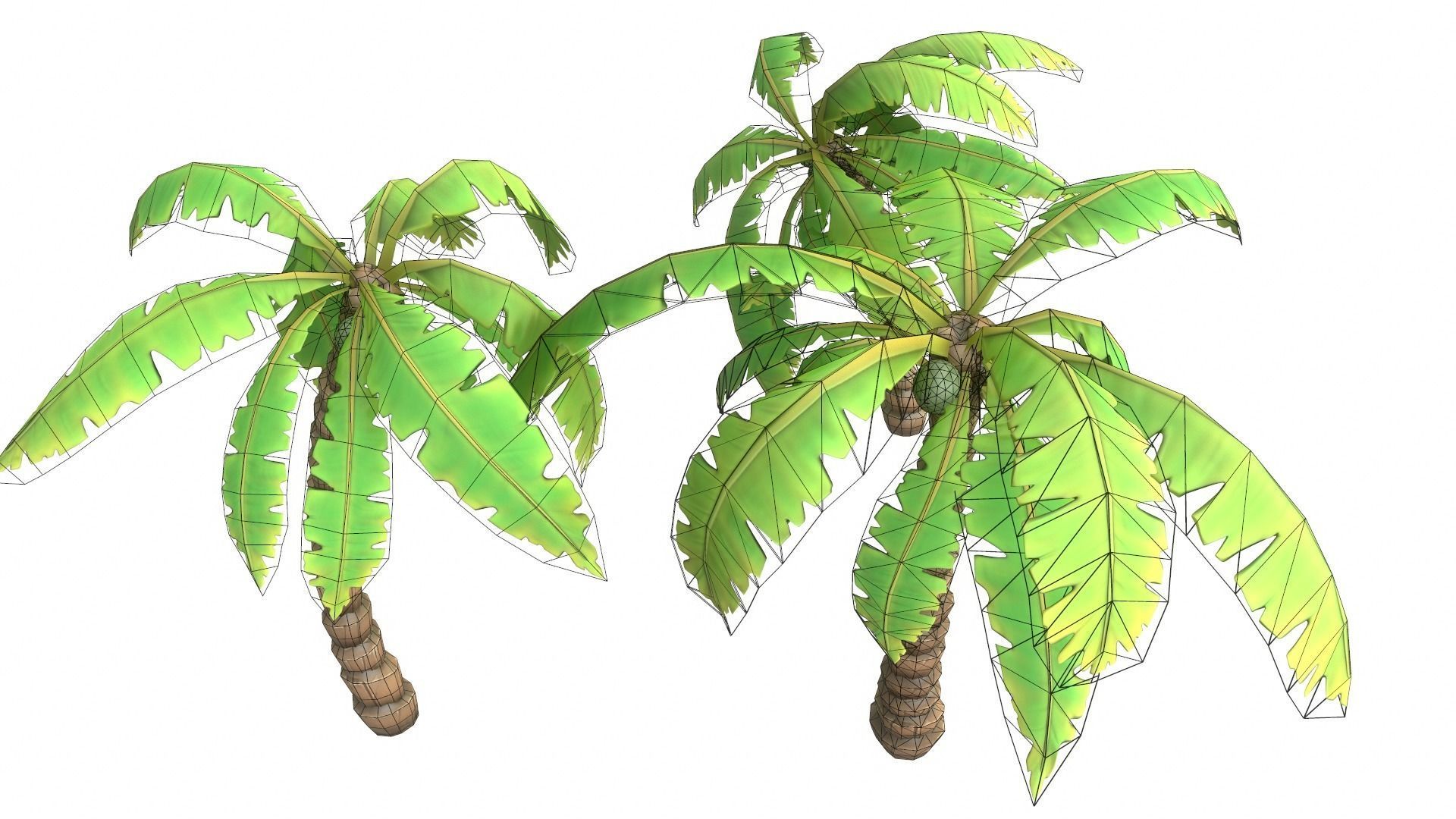 Cartoon Palm Tree Low-poly 3D model_9