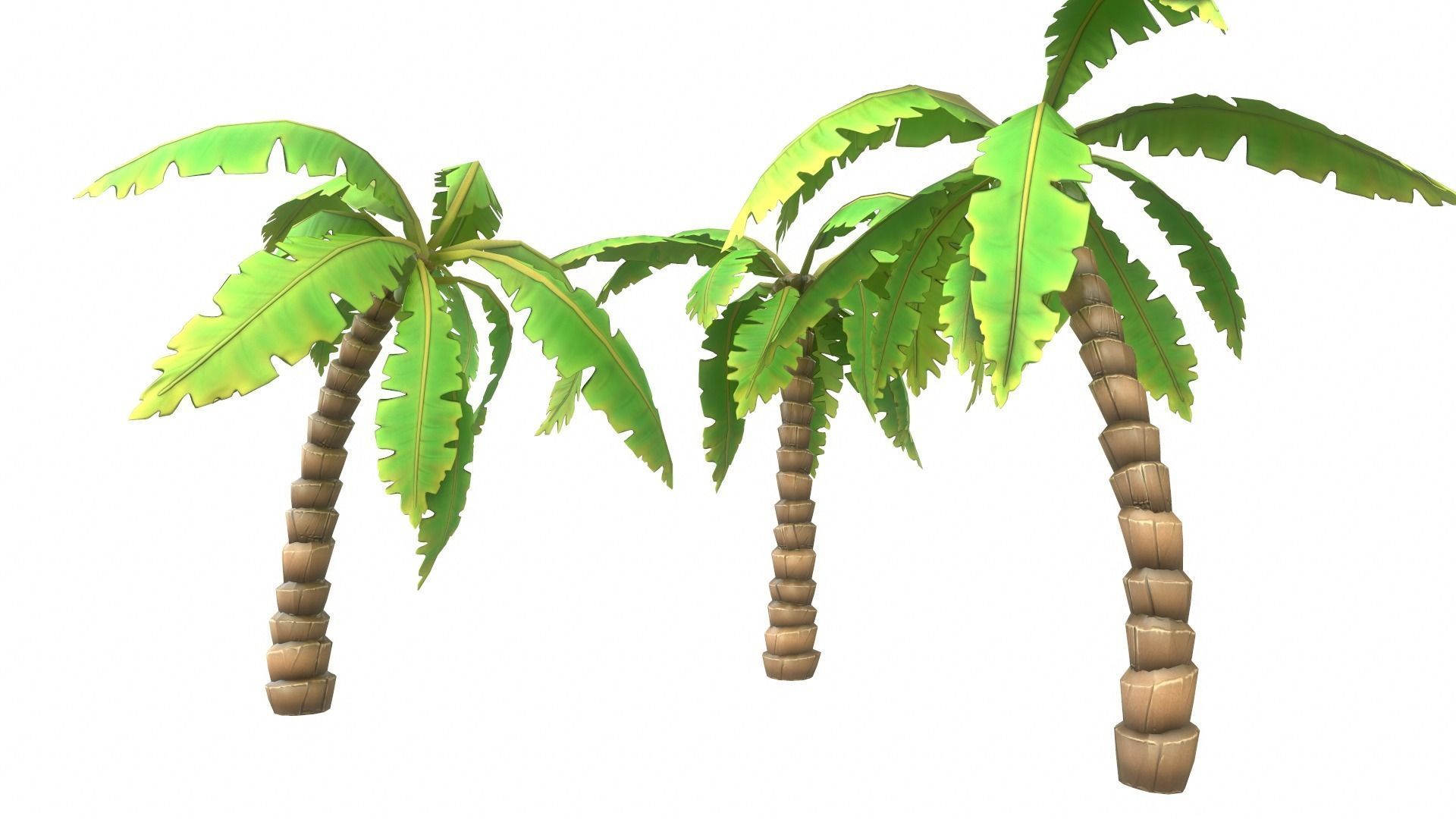 Cartoon Palm Tree Low-poly 3D model_6