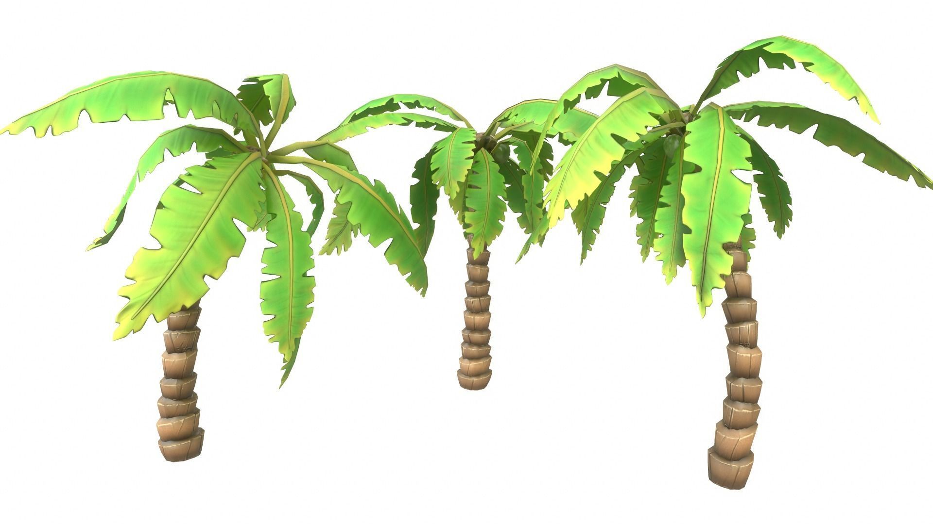 Cartoon Palm Tree Low-poly 3D model_5
