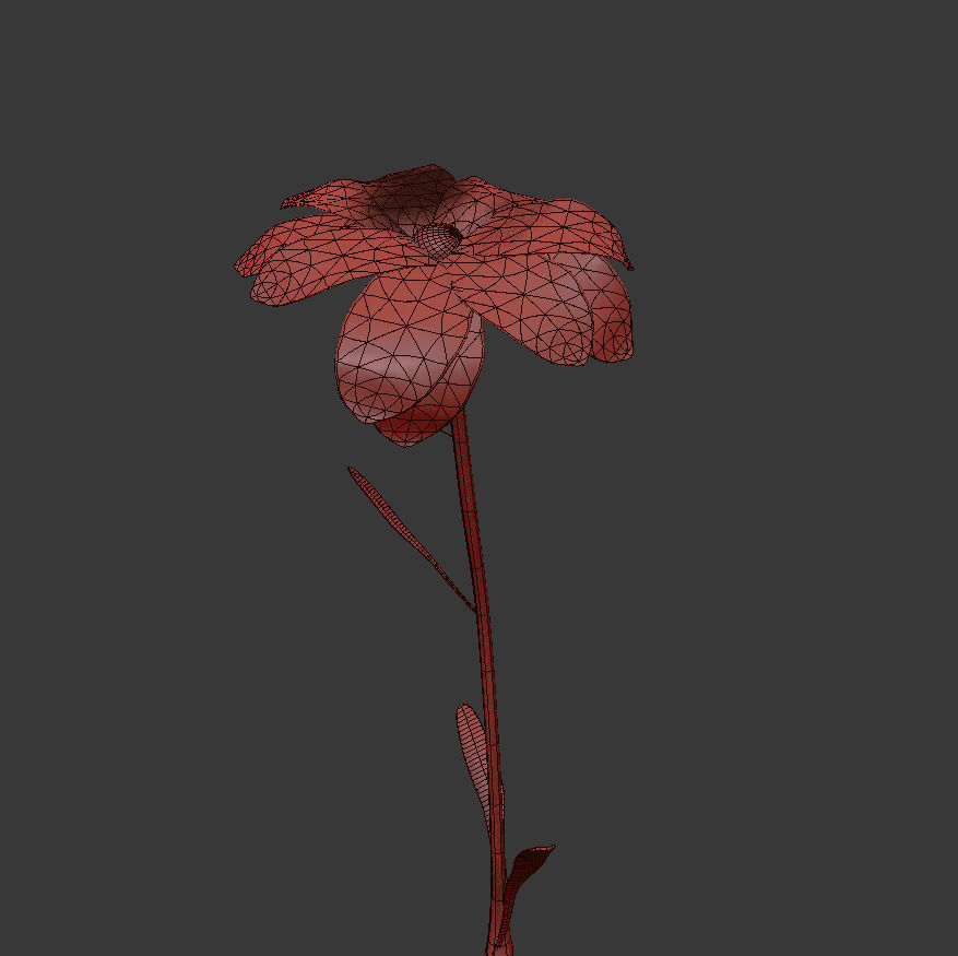 Dianthus Artvinensis 3D model_3