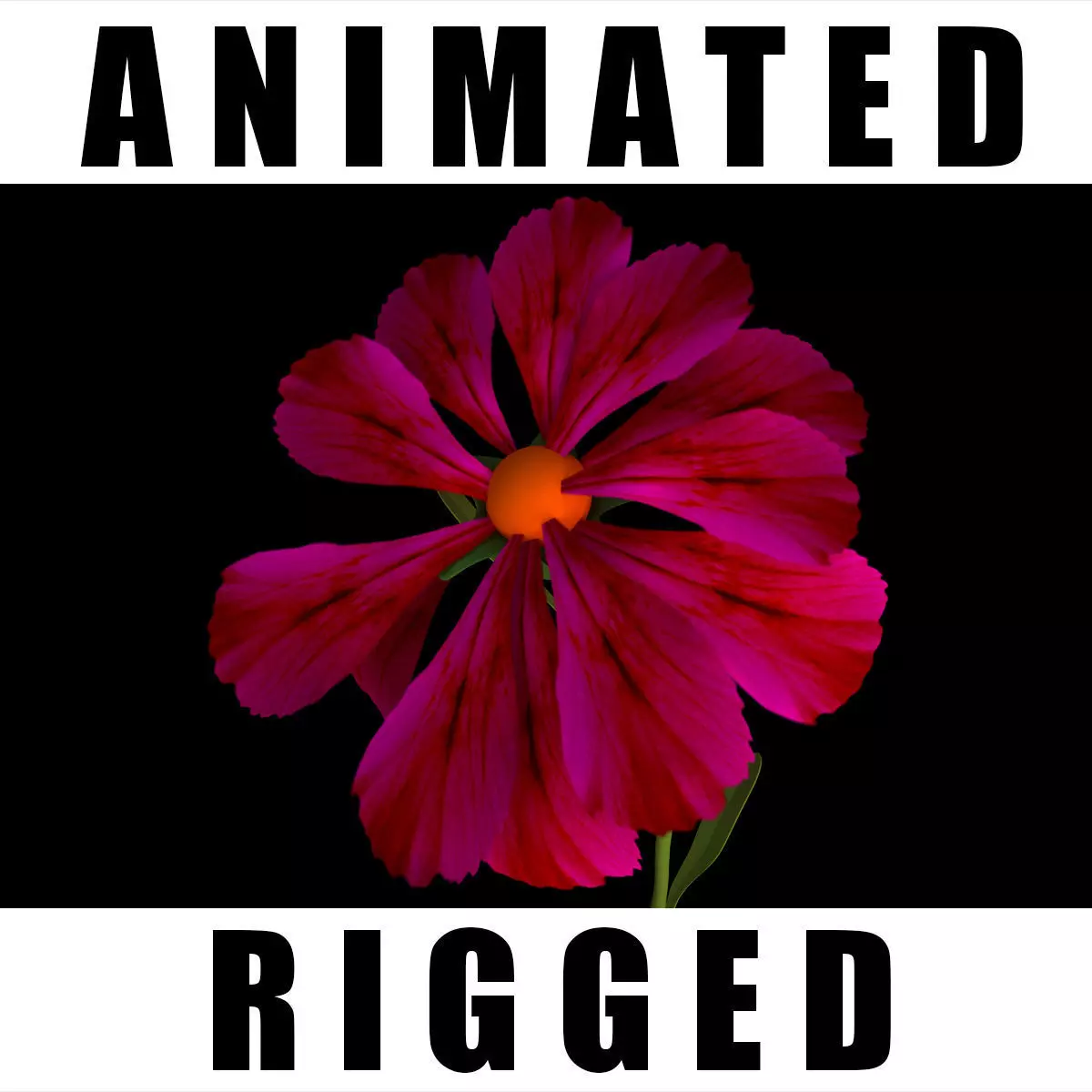 Dianthus Artvinensis 3D model_0