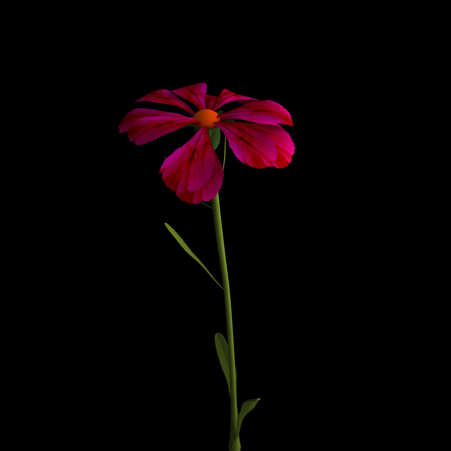Dianthus Artvinensis 3D model_2