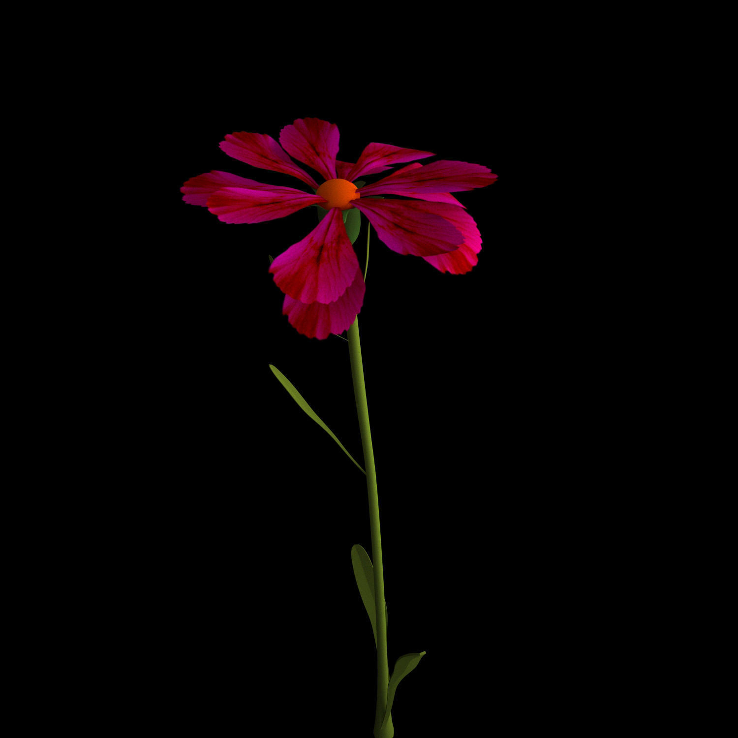 Dianthus Artvinensis 3D model_12
