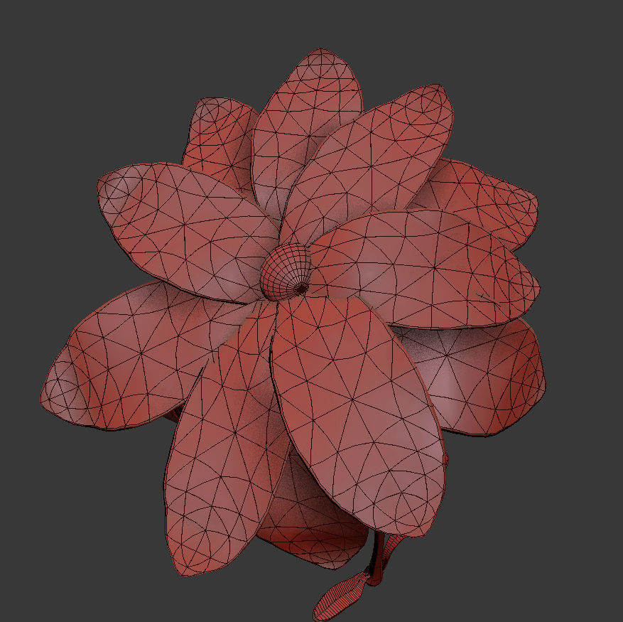 Dianthus Artvinensis 3D model_5