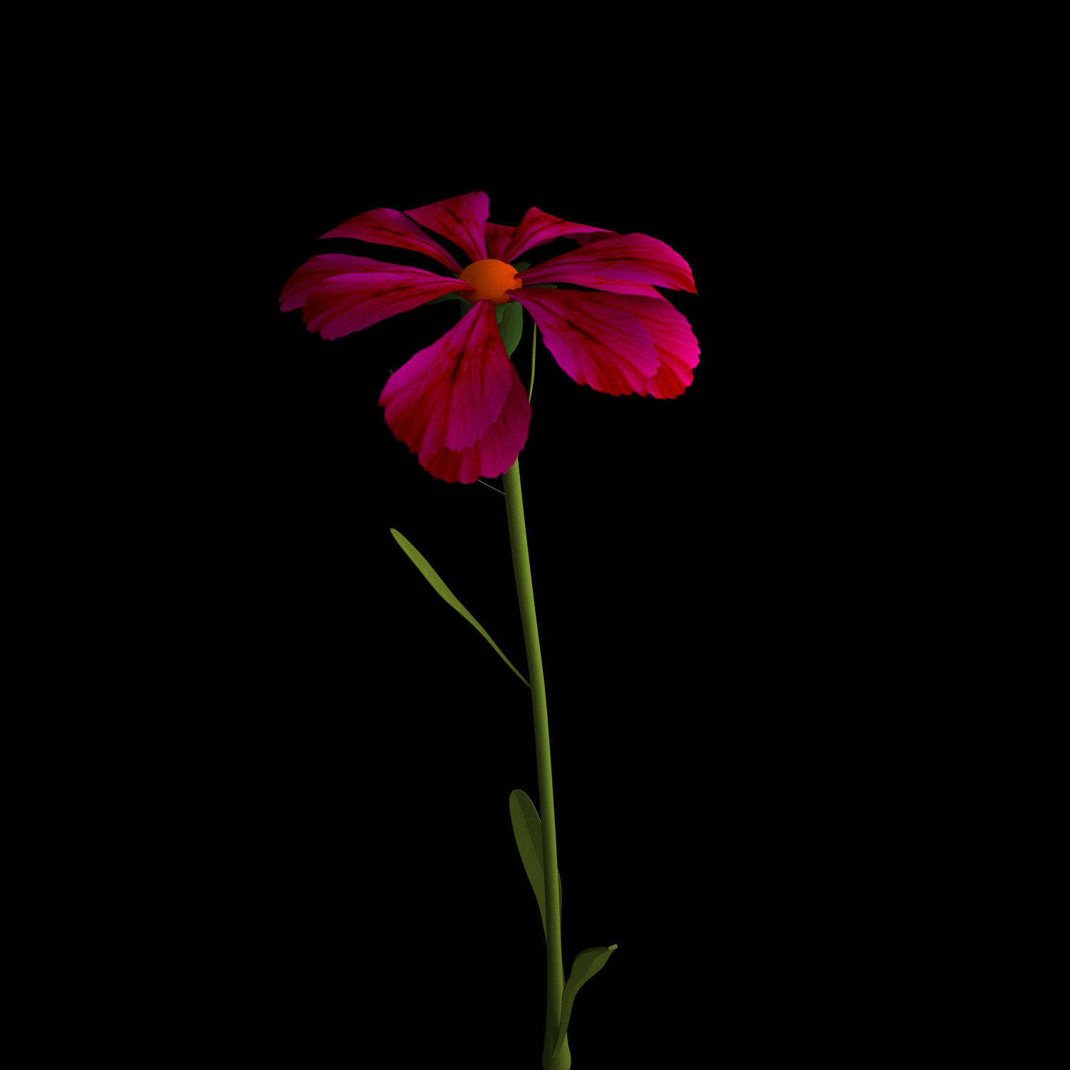 Dianthus Artvinensis 3D model_13