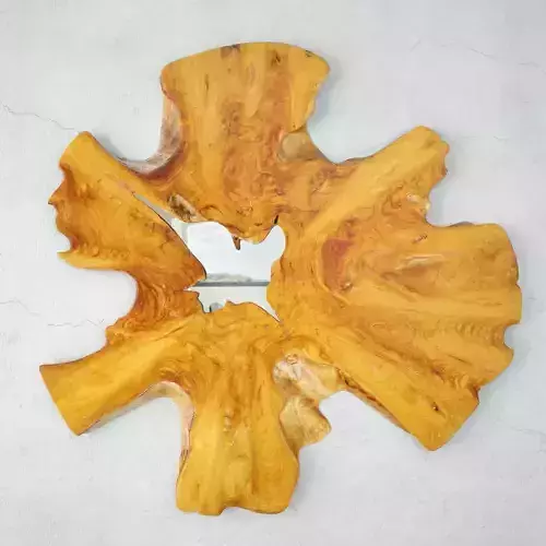 Organic Root Slice Mirror