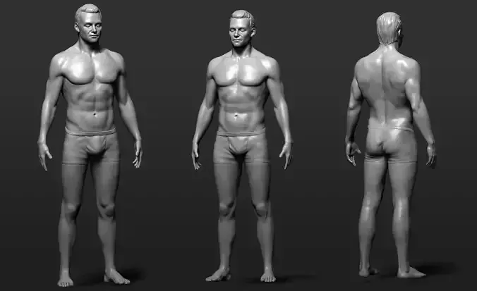 Male Body 