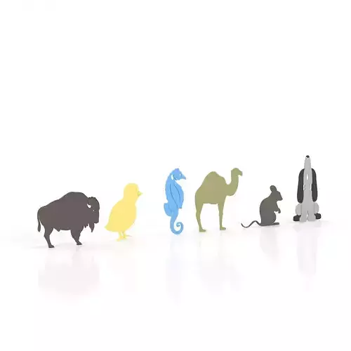 Animals 2 evolution of