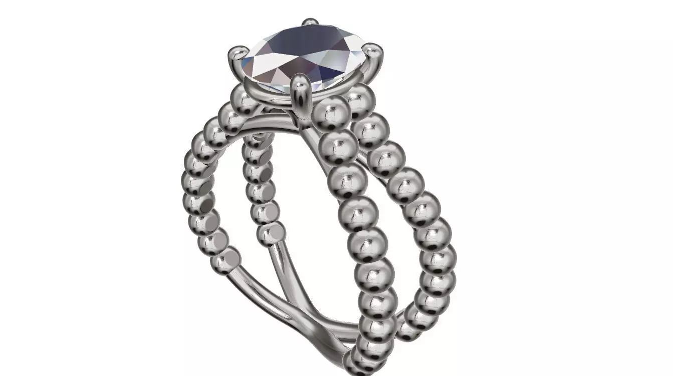 p61 ring 3D print model_0