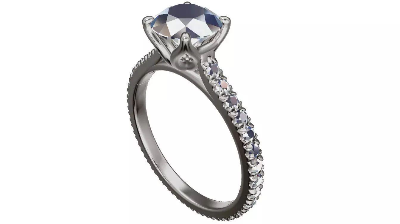 P80 RING 3D print model