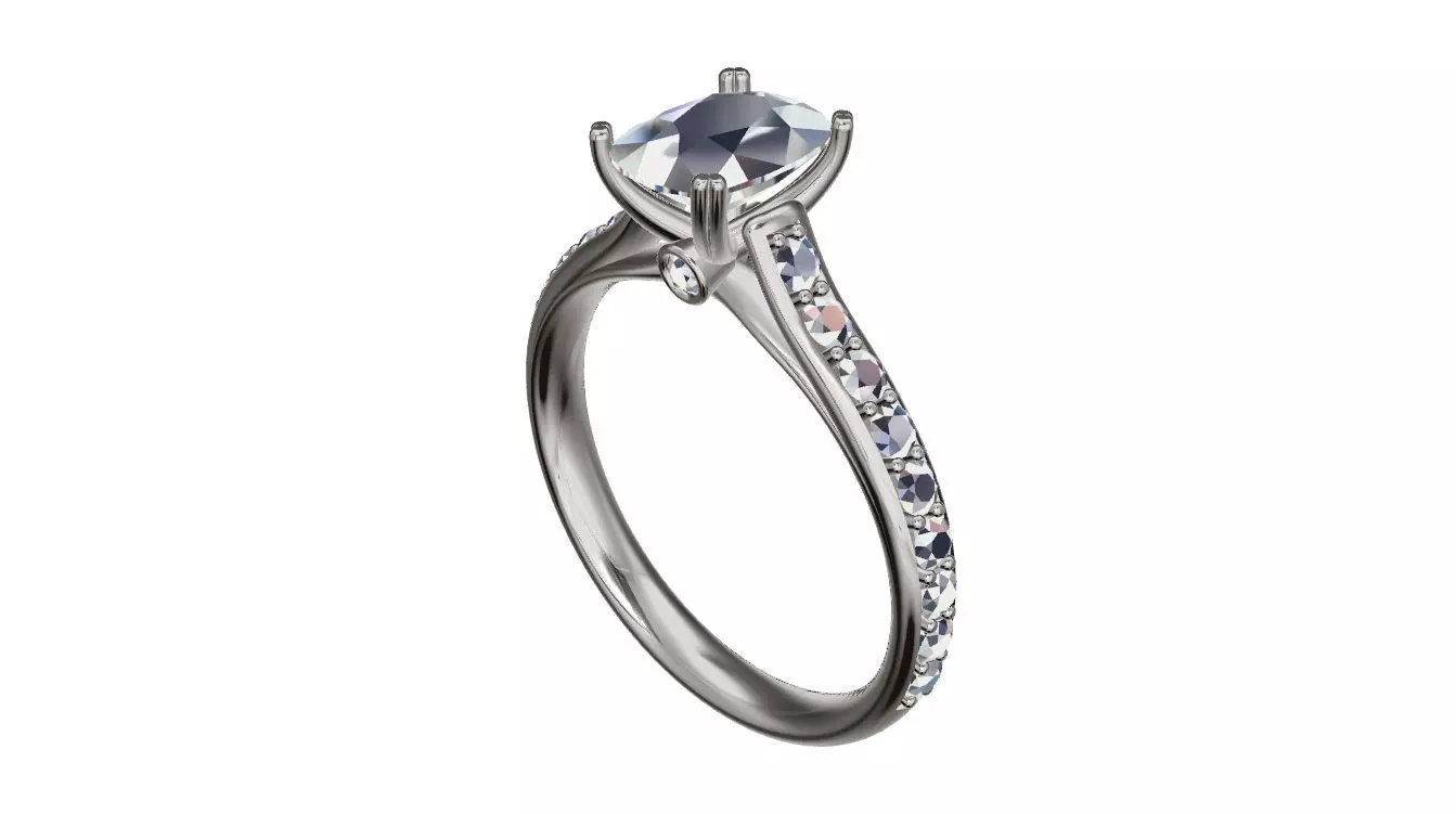 p120 ring 3D print model_0