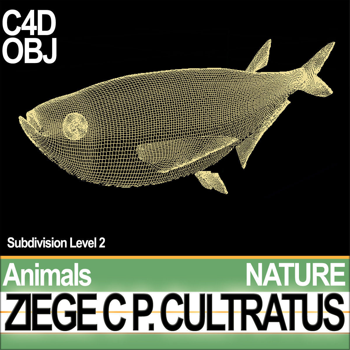 Ziege C zege cp cultivatus 3D model_6