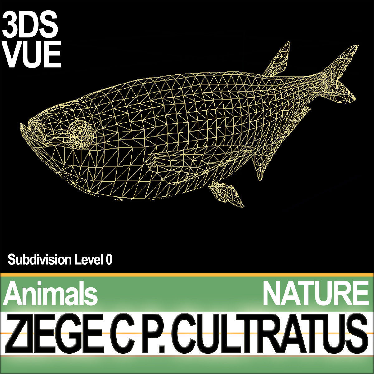 Ziege C zege cp cultivatus 3D model_5