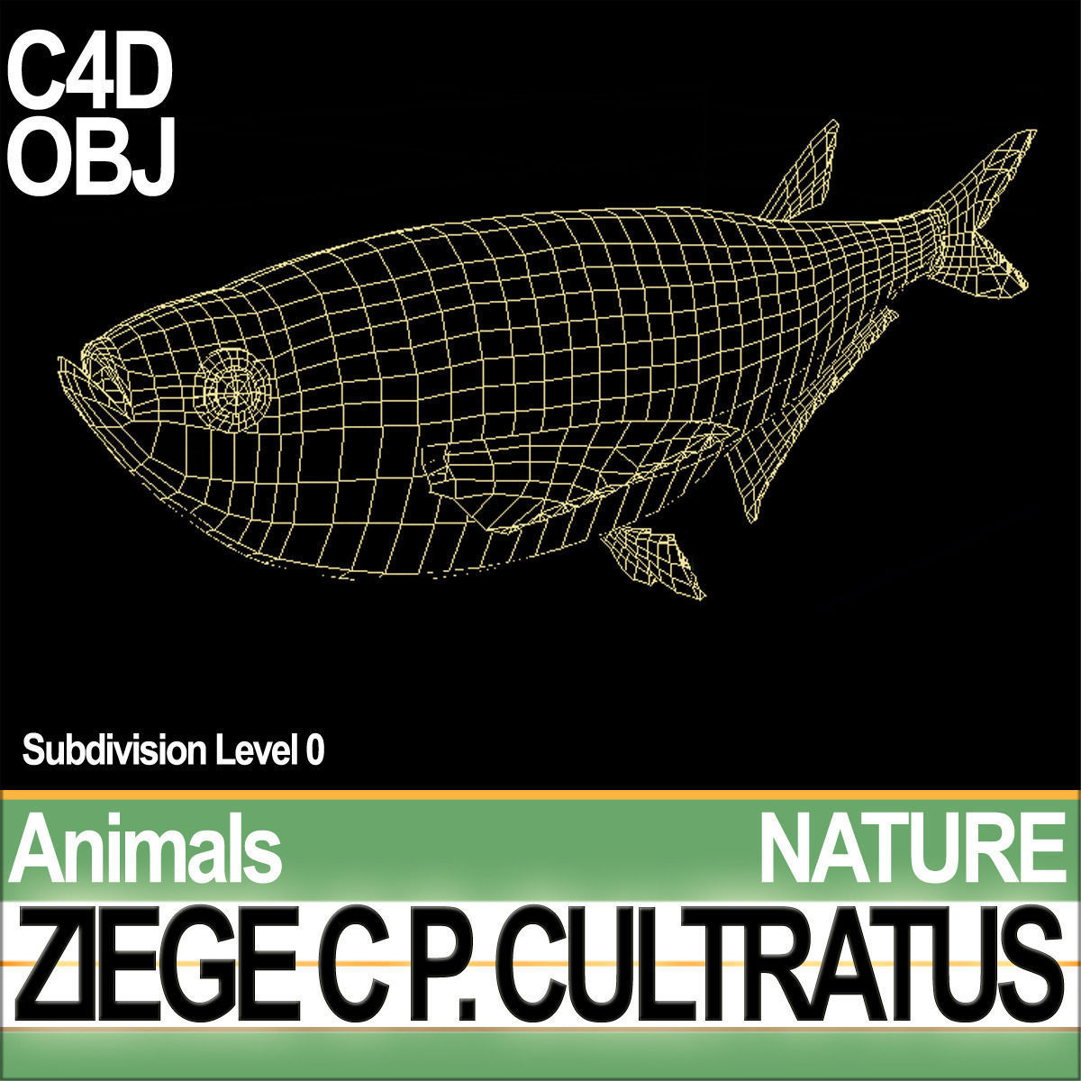 Ziege C zege cp cultivatus 3D model_4