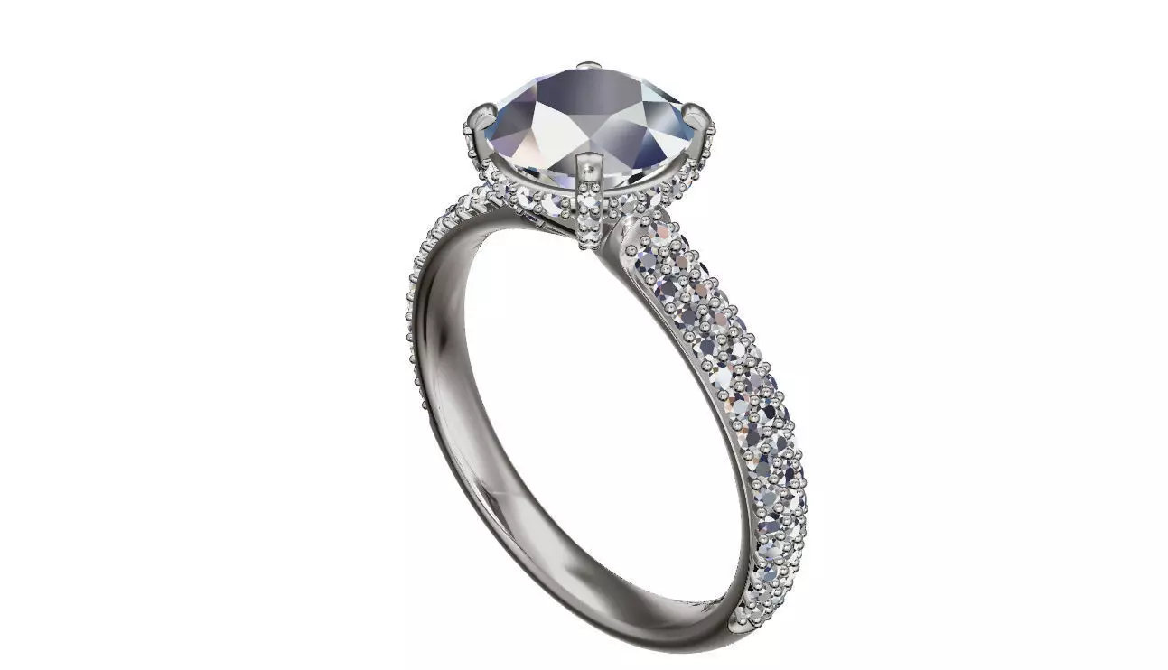 p134 ring 3D print model_0