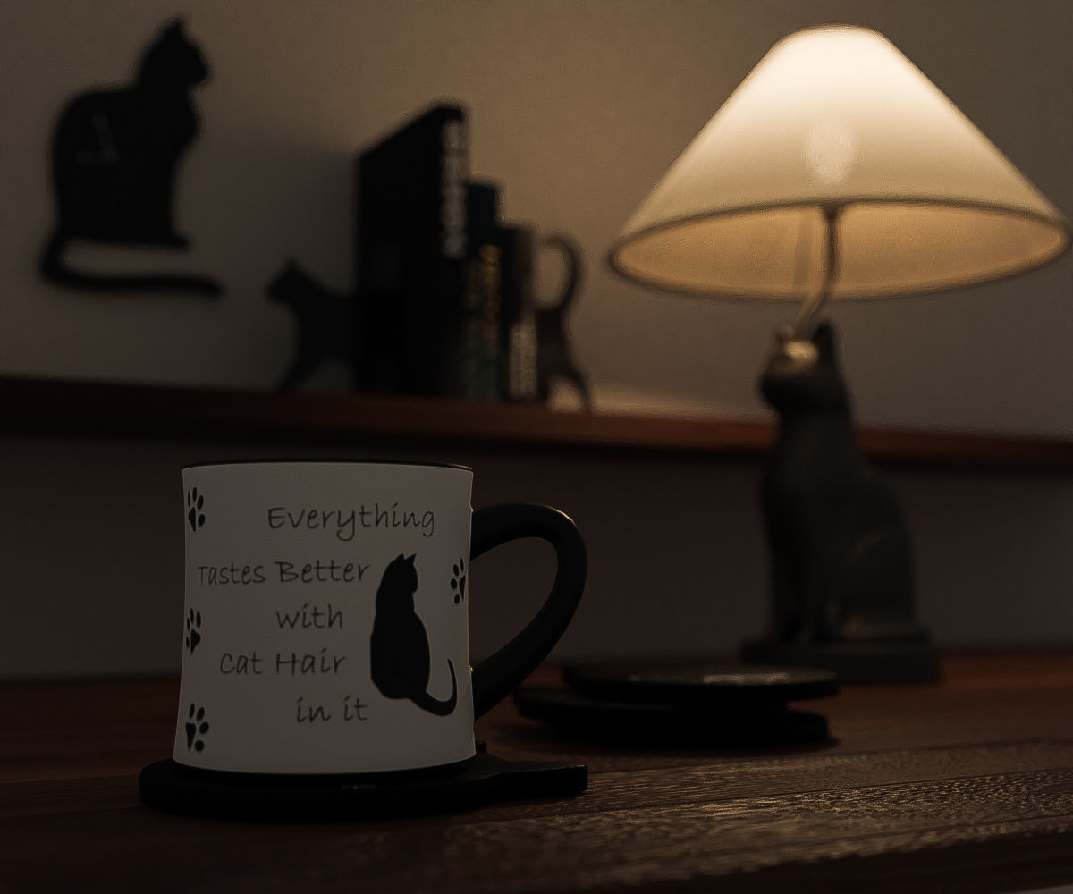 Cat House Props Low-poly 3D model_2