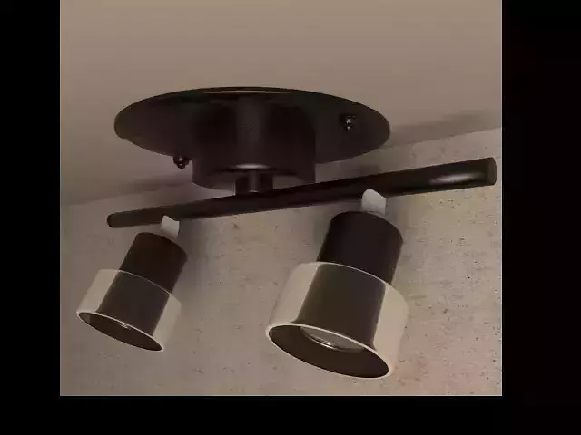 Spotlights ceiling light with two lights