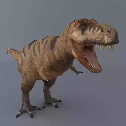 Tyrannosaurus Rex