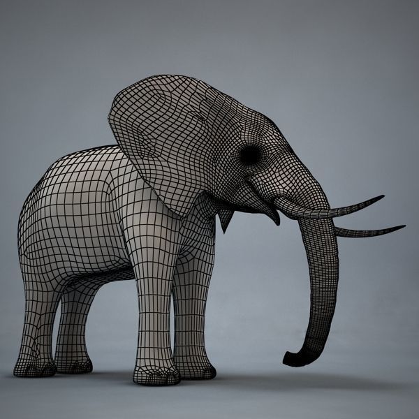Elephant with long tusks 3D model_7
