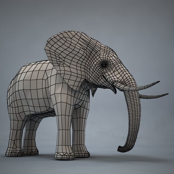 Elephant with long tusks 3D model_8