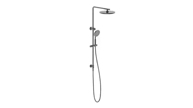 Twin Shower 3D model