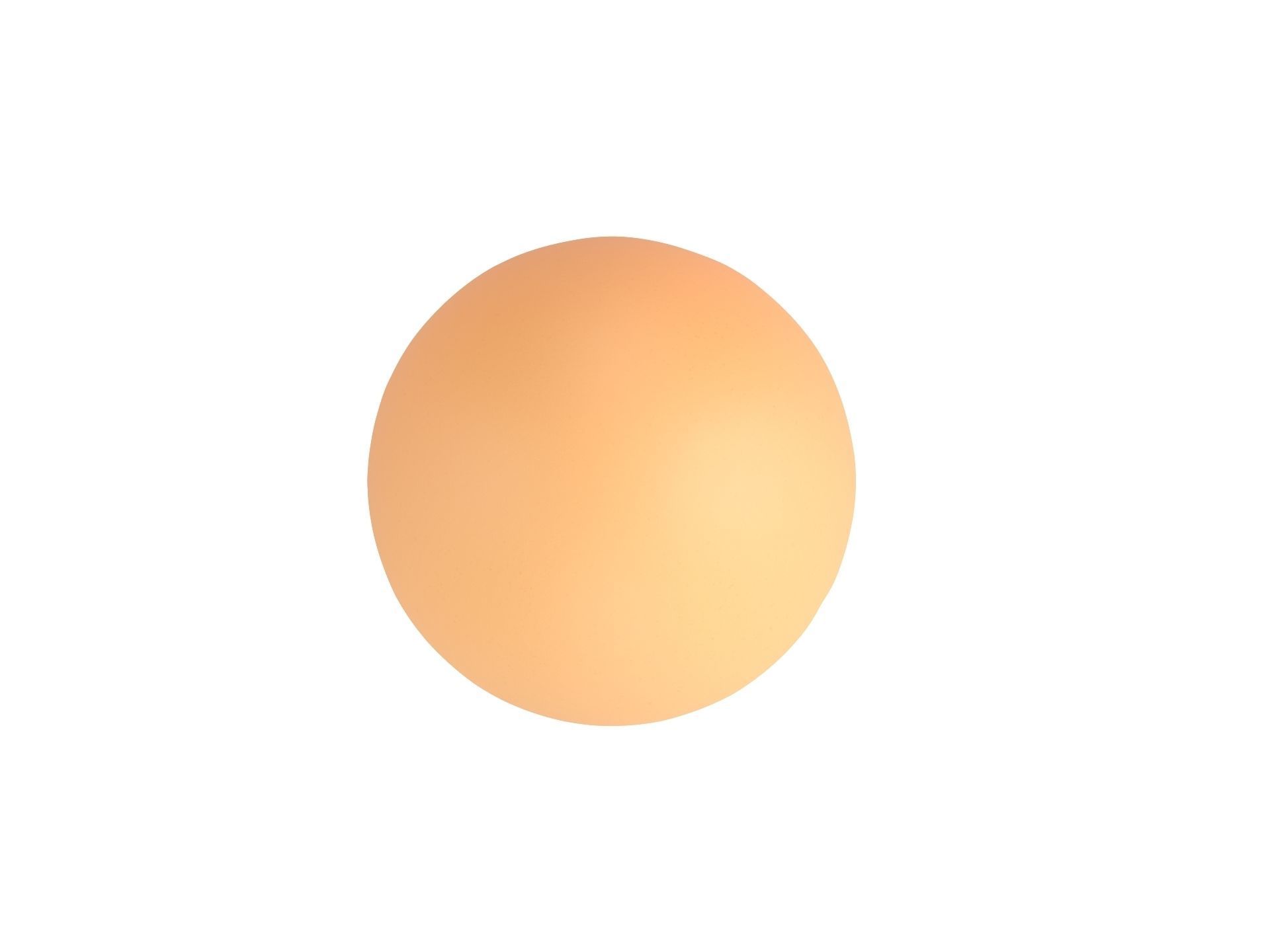 Egg Shell 3D model_6